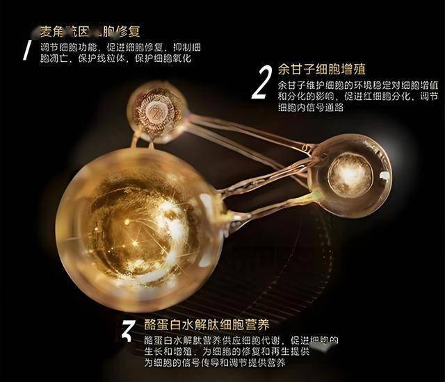 贵州检察机关依法对梁龙甫涉嫌受贿案提起公诉